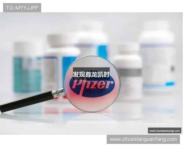 尊龙凯时：尊龙凯时品牌背后的技术创新与用户口碑分析