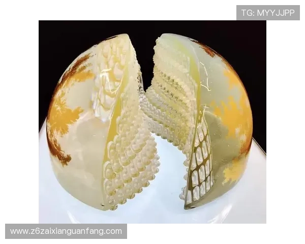 尊龙人生就是搏：不断突破自我极限，成就卓越人生的关键所在