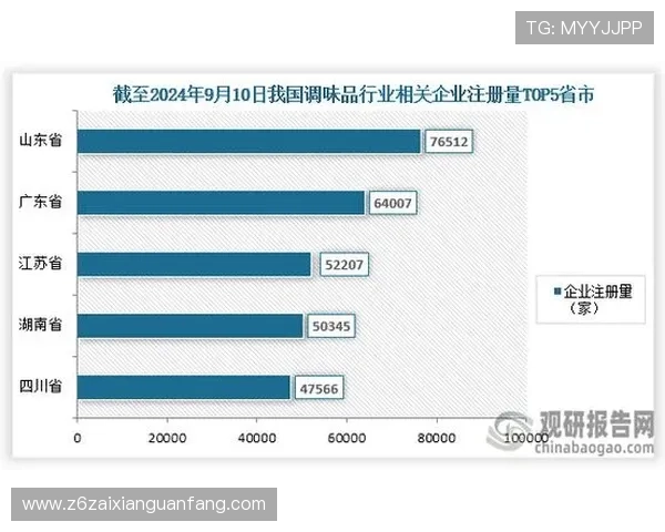 尊龙z6集团：引领行业创新的卓越企业发展战略分析