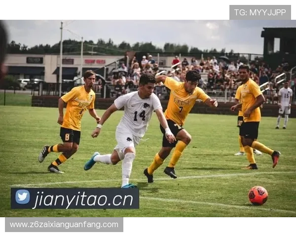 尊龙凯时游戏下载：官方正版安全可靠的游戏下载平台推荐