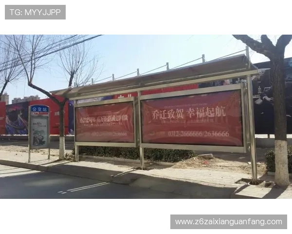 提升游戏水平，d88尊龙会员登录后分享最佳玩法秘籍