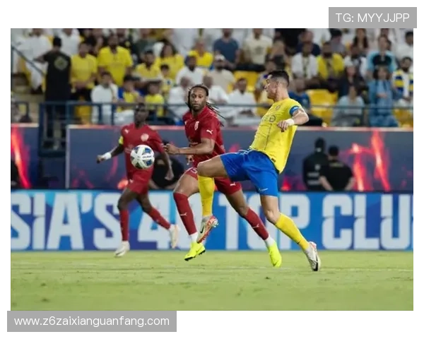 尊龙体育下载提供专业的赛事分析和投注指南，助你赢得更多胜利